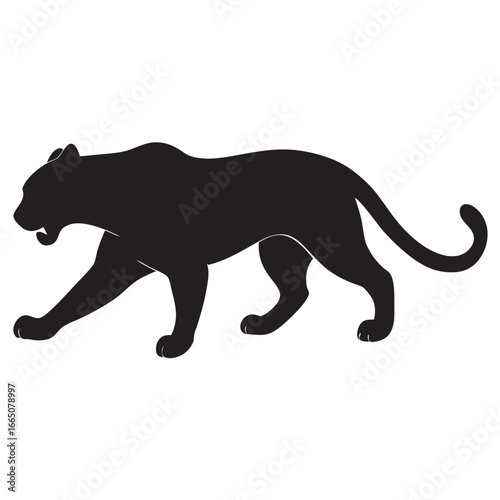 a wild panther powerful predator sleek black silhouette 