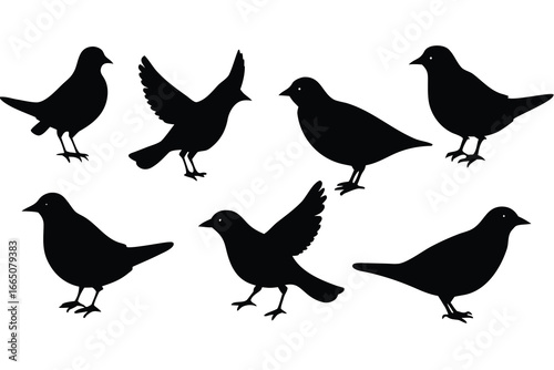 Collection of Seven Black Bird Silhouettes in Various Poses Against a White Background