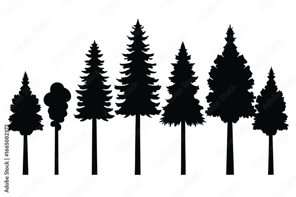 Fototapeta premium Silhouette of Pine Trees and Deciduous Tree Against White Backdrop, Forest Illustration Graphic