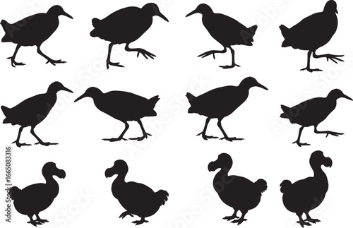 Set of black silhouettes of different flightless birds, including a Dodo and a flightless rail, in various action poses
