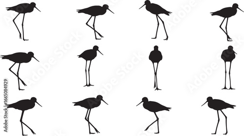 A versatile collection of stilt bird silhouettes in various poses and angles, perfect for representing wildlife, nature, and birdwatching themes in designs