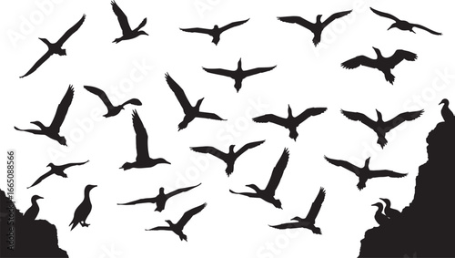 Flying bird flock silhouette flying above a rocky cliff shore, representing freedom and nature