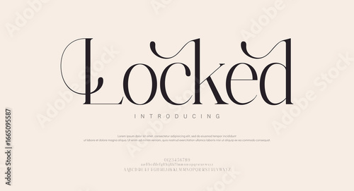 Locked Elegant awesome alphabet letters font and number. unique serif font. Classic Lettering Minimal Fashion Designs. Typography fonts regular uppercase and lowercase. vector illustration
