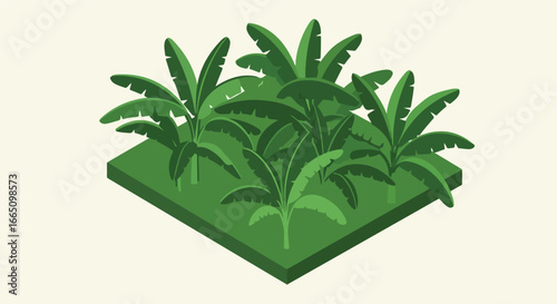 Banana trees growing on an isometric farm plot, isolated, for presentation use