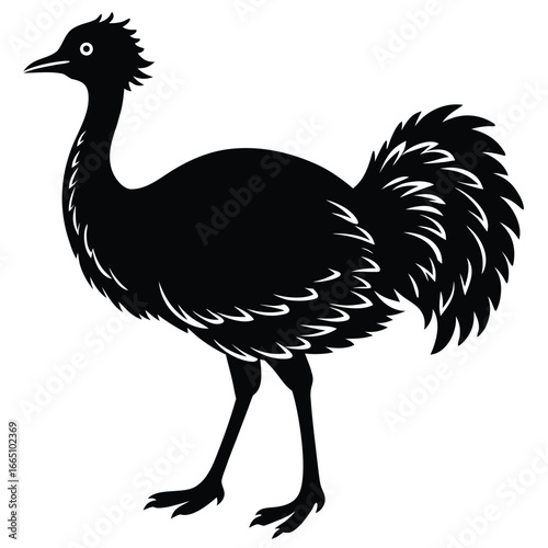 Silhouette of a Black Ostrichlike Bird with Plumed Tail on White Background