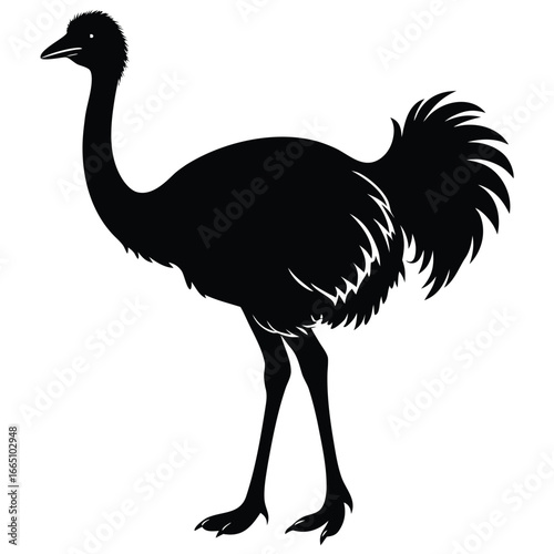 Silhouette of an Ostrich Standing Tall with Detailed Feathers and Prominent Claws