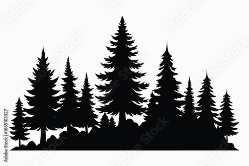 Silhouette of Evergreen Trees on a White Background Displaying a Dense Forest
