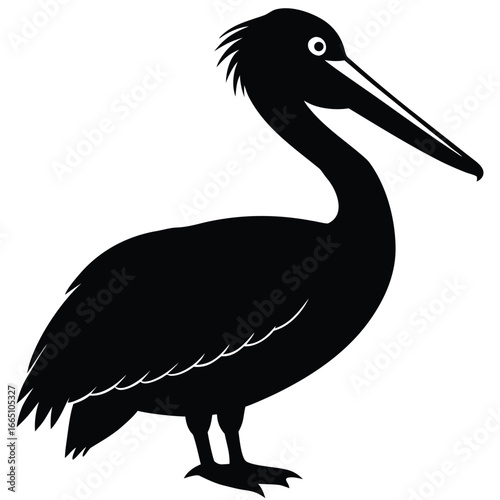 Striking Silhouette of a Black Pelican Standing Tall with Prominent Bill and Eye