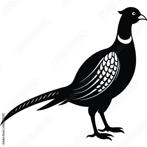 Stylized Black Pheasant Silhouette Illustration on White Background, Bird with Detailed Feathers