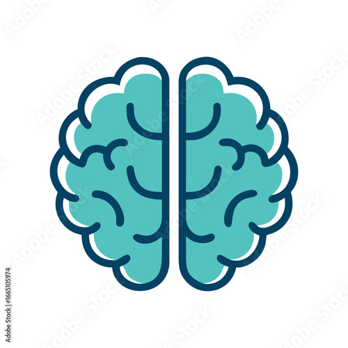 Teal Human Brain Anatomy with Navy Outline on White Background