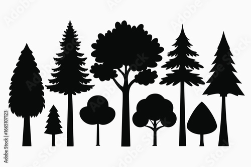 Tree Silhouette Illustration Variety of Deciduous and Evergreen Tree Shapes on White Background