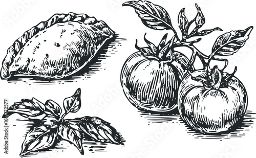 Hand Drawn Sketch of Empanada, Tomatoes, and Basil Leaves