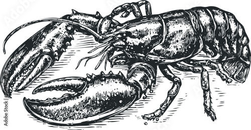 Detailed Woodcut Style Drawing of a Lobster on a Wooden Surface