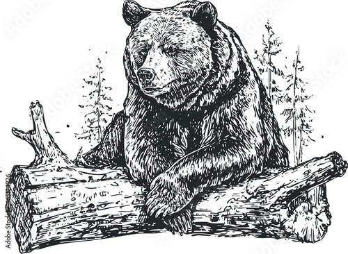 Grizzly Bear Resting on a Fallen Tree Trunk in a Forest Setting
