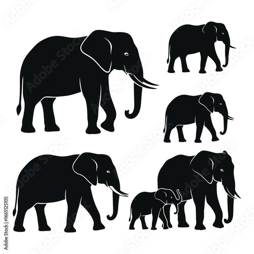 Majestic elephant herd silhouette collection african wildlife mammals family grouping silhouette