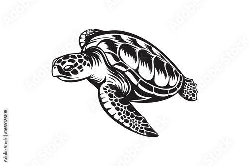 Sea Turtle Silhouette, Monochrome Design, Marine Animal