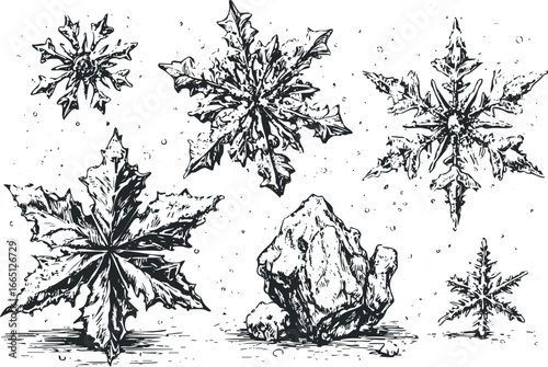 Collection of Hand Drawn Snowflakes and Ice Formations on White Background