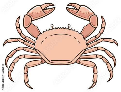 Cartoon illustration of a crab with large pincers isolated against white background.