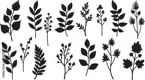 Assortment of Black Silhouette Botanical Branches and Leafy Sprigs plant