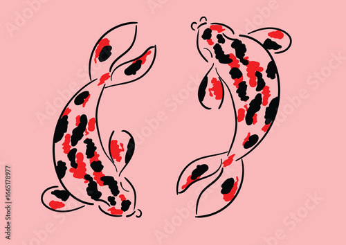 Two koi fish swimming in pink water creating harmony and balance