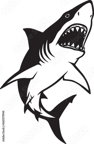 Fierce Shark Illustration with Mouth Open and Visible Gills marine life ocean
