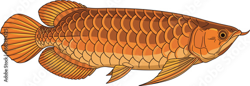 Cartoon Vector Illustration of Arowana Fish with Metallic Scales, Elongated Fins, and Upward-Facing Mouth on White Background