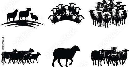 Silhouette sheep herd collection farm livestock animals pastoral countryside grazing meadow nature