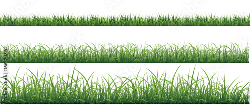 Green Grass Borders Set Isolated White Background