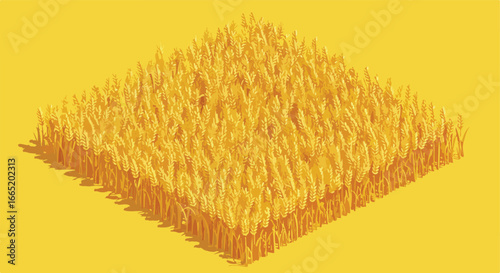 Isometric wheat field in golden background, for agriculture & food industry uses