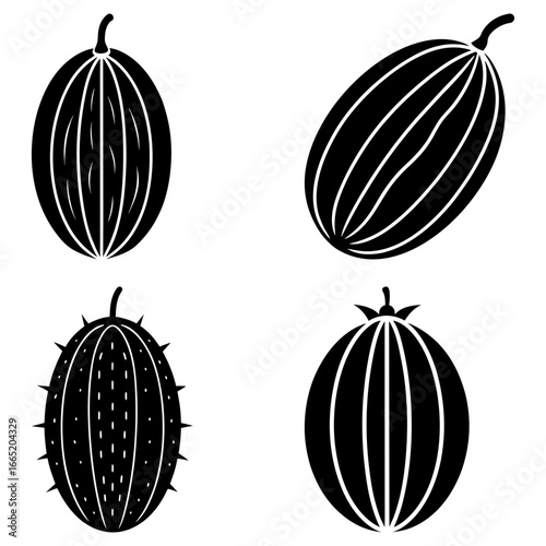 Four black and white illustrations of various melons and spiky fruit on a white background artfully arranged