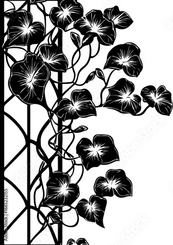 Elegant Morning Glory Vine Silhouette"