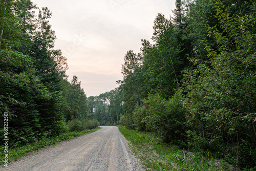 Trail in the Forest, Road, 2 Track - Travel - Wilderness, Path Canada