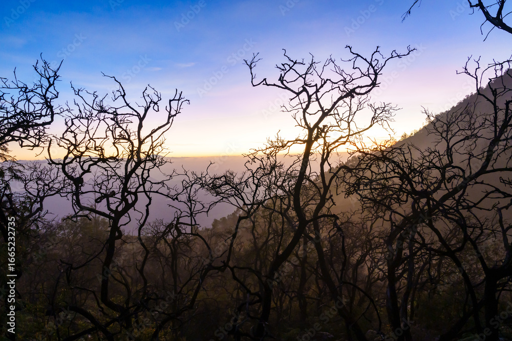 Obraz premium Kawa Ijen on te Jawa te best place on te World