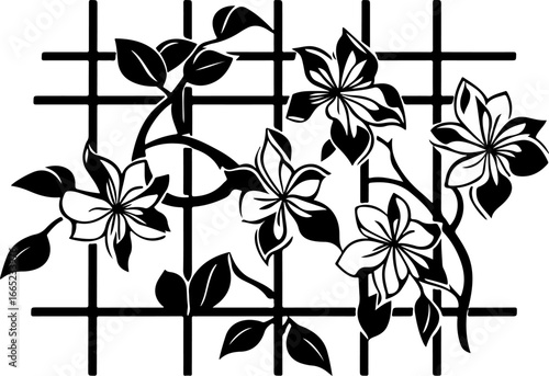 Floral Vine on Trellis  Vector  graphics art