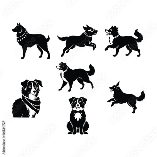 Australian shepherd silhouette dog different poses linocut style vector illustration on white background