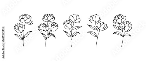 Elegant line drawing of blossoming flowers arranged in a sweet pattern suitable for various design purposes