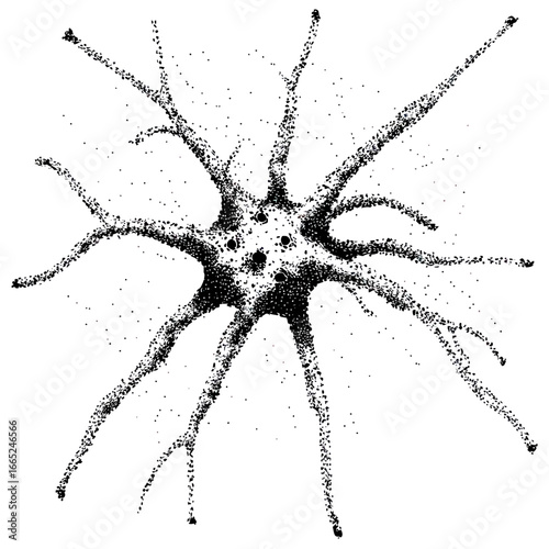 Black and white dotwork style illustration of a neuron cell with dendrites and axon branches isolated on white background detailed microscopic nerve cell structure