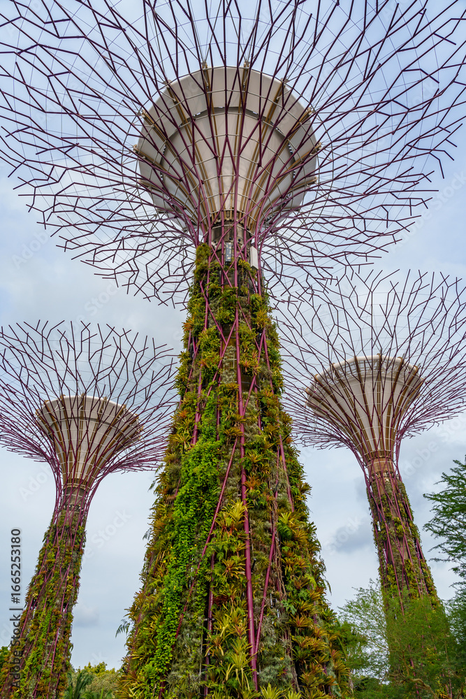 Fototapeta premium Fantastic place in the Singapore Supertree Grove