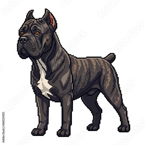 A pixel art illustration of a brindle Cane Corso dog standing in a proud, alert pose against a white background.