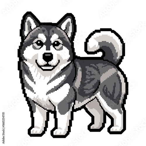 Pixel art illustration of a smiling Alaskan Malamute dog, standing with a curled tail, on a white background.