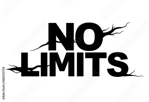 Bold typography design with the phrase "No Limits" and abstract elements  
