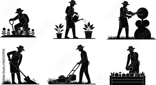Gardener working in garden, planting, watering, trimming, mowing, harvesting vegetables, farming activities, seasonal gardening, horticulture, landscaping, agriculture lifestyle