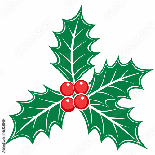 Festive holly leaves with bright red berries isolated on white background isolated on transparent background