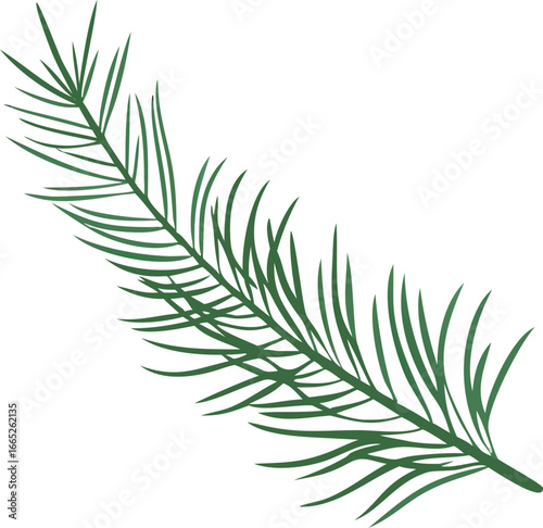 Single evergreen branch isolated on white background isolated on transparent background