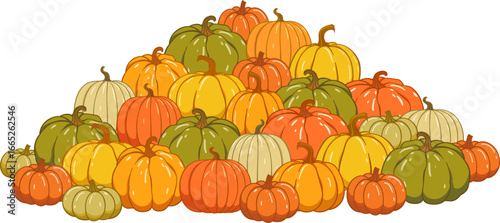 Pumpkin patch vector set. Bunch of autumn pumpkins. Hand drawn pumpkin squash in different colors and shapes.