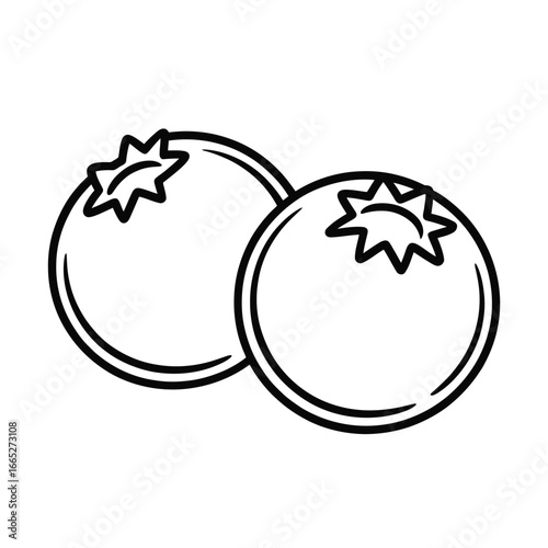 Simple line art drawing of two fresh blueberries