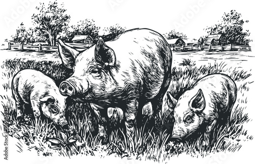 Farmyard scene with mother pig and two piglets in tall grass near wooden barn