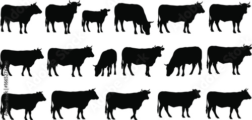 Cow and calf silhouette set, black vector livestock icons, grazing and standing poses, farm animal illustration, agricultural graphic design