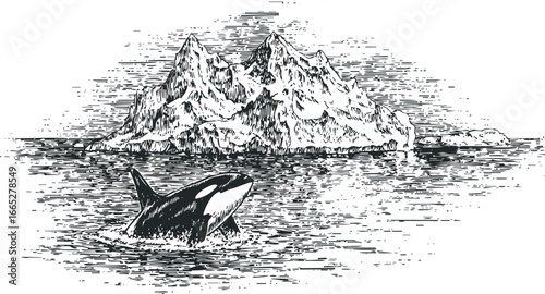 Killer whale breaching near an iceberg in textured water