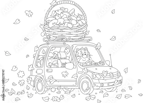 Funny cat mushroomer driving its small car with a basket full of picked wild mushrooms from an autumn forest, black and white vector cartoon illustration for a coloring book